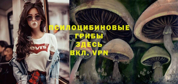 дмт Алексеевка