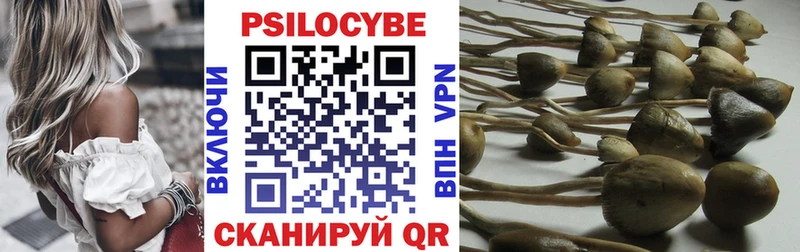 Галлюциногенные грибы мицелий  Сухой Лог 