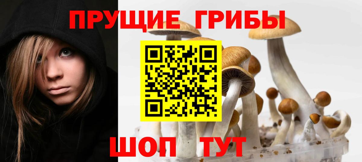 Псилоцибиновые грибы ЛСД Сухой Лог
